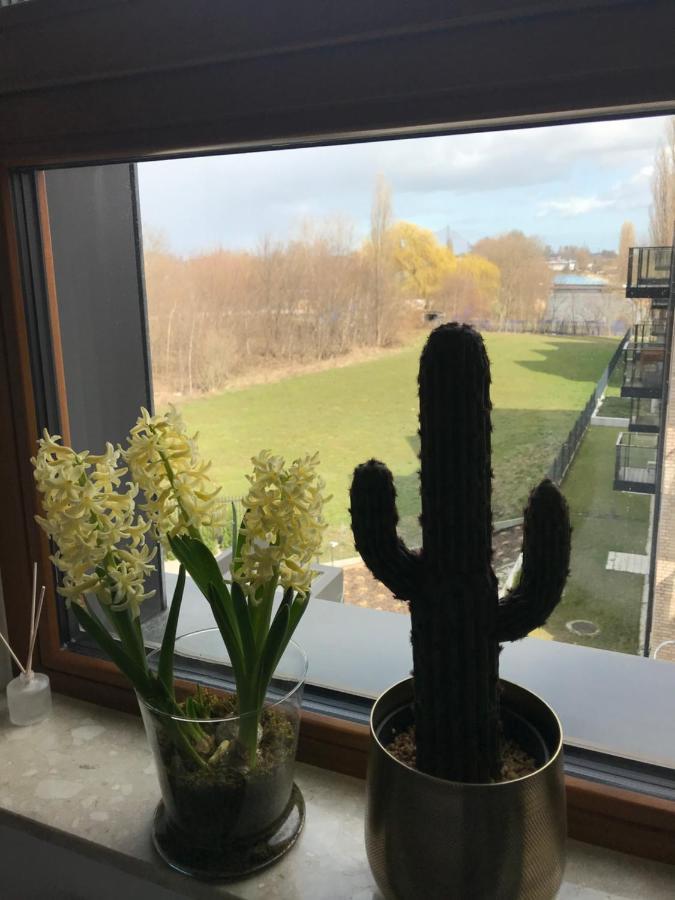 Baltic Riviera Apartments - Garden Sanctuary Retreat 格但斯克 外观 照片